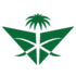 Saudia Airlines logo