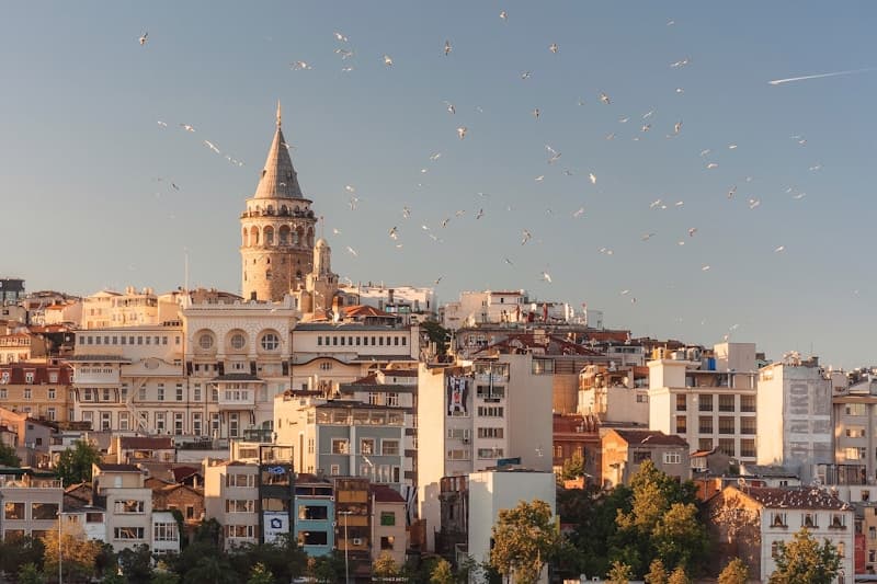 Dubai to Istanbul